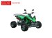 Stolen Quad EAGLE MOTORSPOR 30RXH9